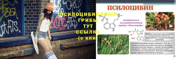 таблы Дмитровск