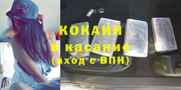 прущие грибы Покровск