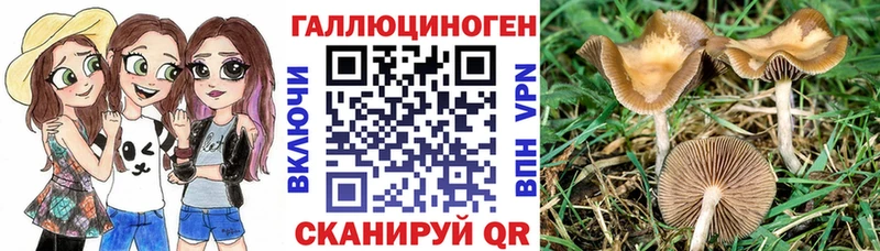 Галлюциногенные грибы прущие грибы  Дрезна 